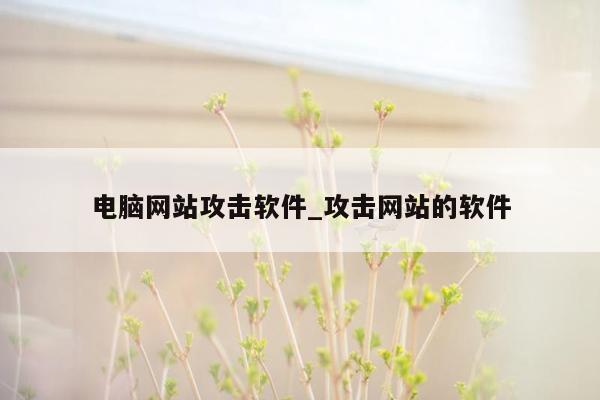 电脑网站攻击软件_攻击网站的软件