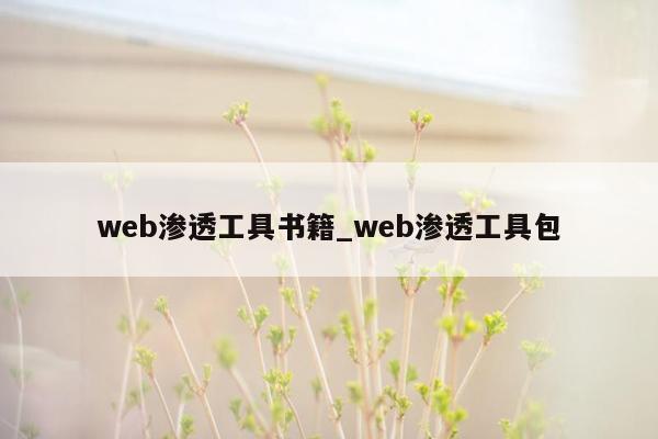 web渗透工具书籍_web渗透工具包