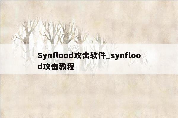 Synflood攻击软件_synflood攻击教程