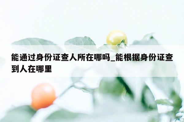 能通过身份证查人所在哪吗_能根据身份证查到人在哪里