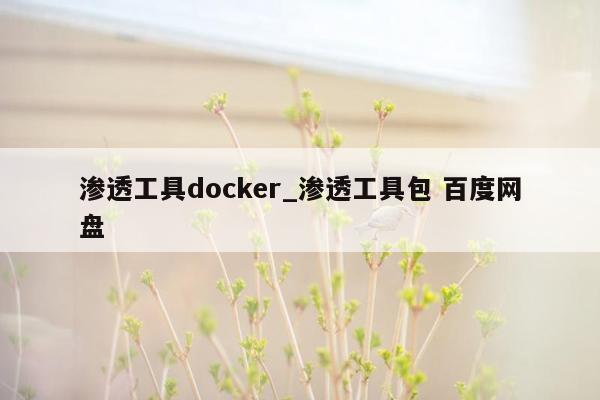 渗透工具docker_渗透工具包 百度网盘