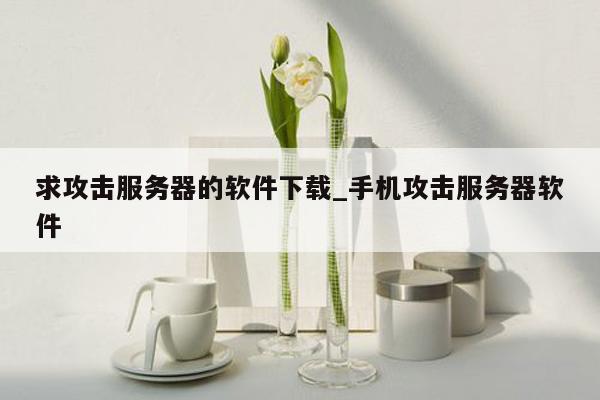 求攻击服务器的软件下载_手机攻击服务器软件