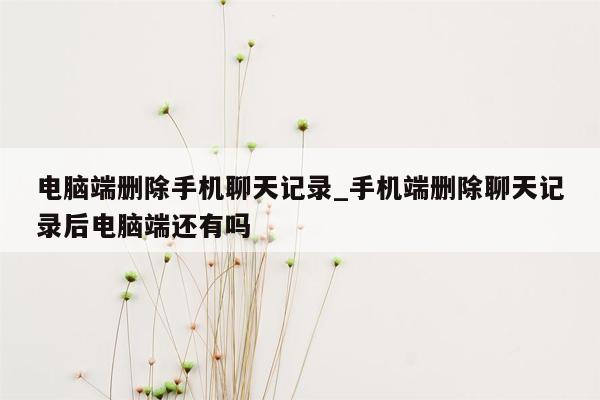 电脑端删除手机聊天记录_手机端删除聊天记录后电脑端还有吗