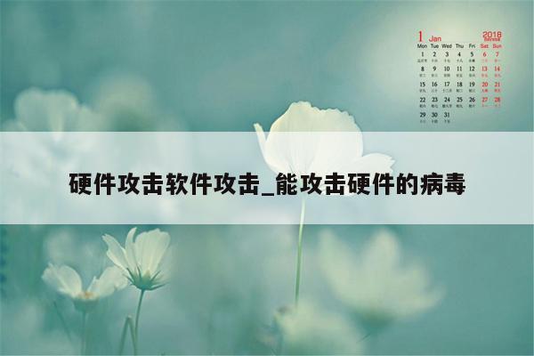 硬件攻击软件攻击_能攻击硬件的病毒