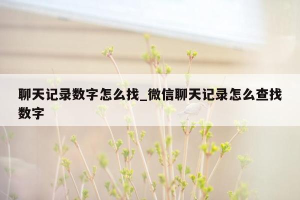 聊天记录数字怎么找_微信聊天记录怎么查找数字