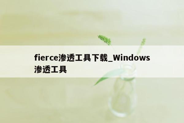 fierce渗透工具下载_Windows渗透工具