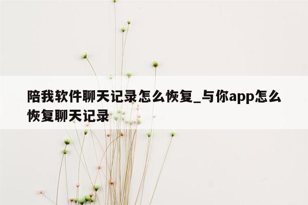 陪我软件聊天记录怎么恢复_与你app怎么恢复聊天记录