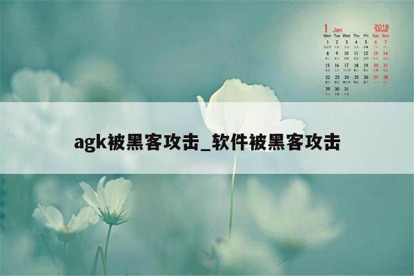 agk被黑客攻击_软件被黑客攻击