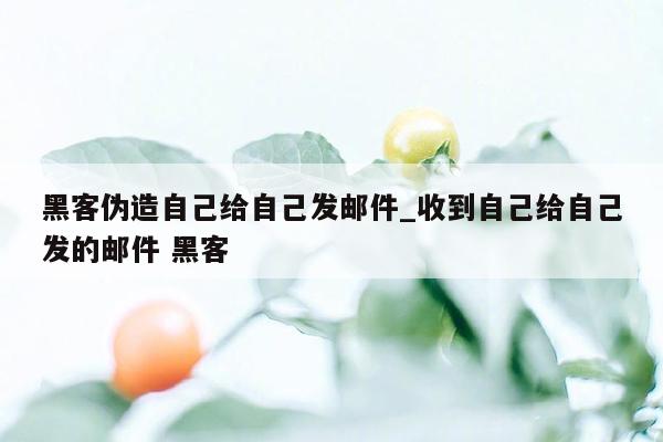 黑客伪造自己给自己发邮件_收到自己给自己发的邮件 黑客