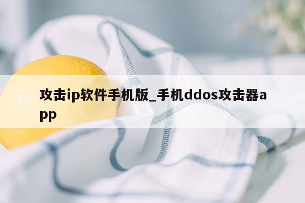 攻击ip软件手机版_手机ddos攻击器app