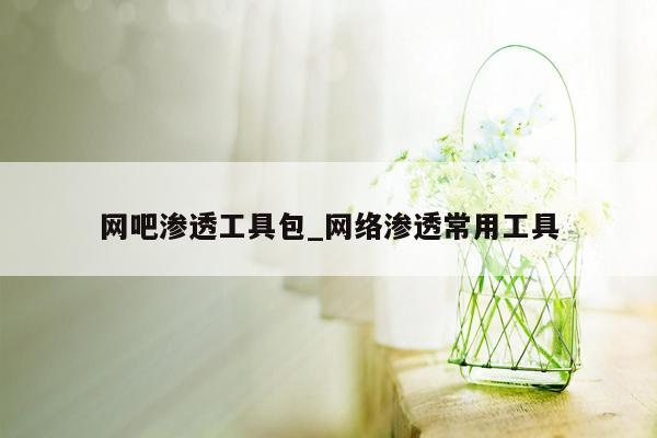 网吧渗透工具包_网络渗透常用工具