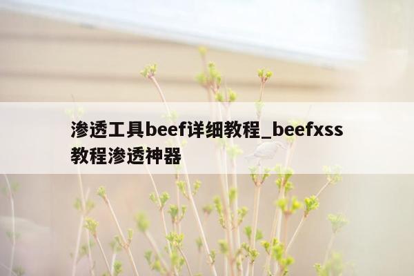 渗透工具beef详细教程_beefxss教程渗透神器