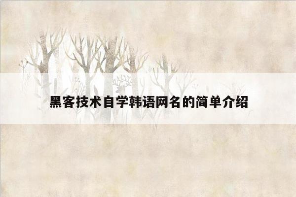 黑客技术自学韩语网名的简单介绍