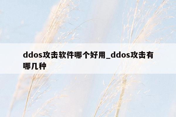 ddos攻击软件哪个好用_ddos攻击有哪几种