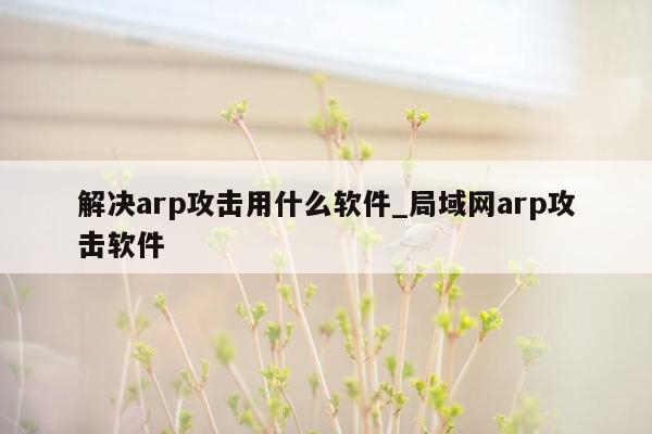 解决arp攻击用什么软件_局域网arp攻击软件