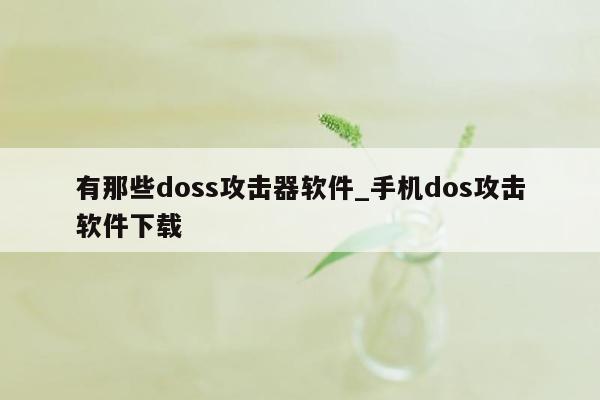 有那些doss攻击器软件_手机dos攻击软件下载