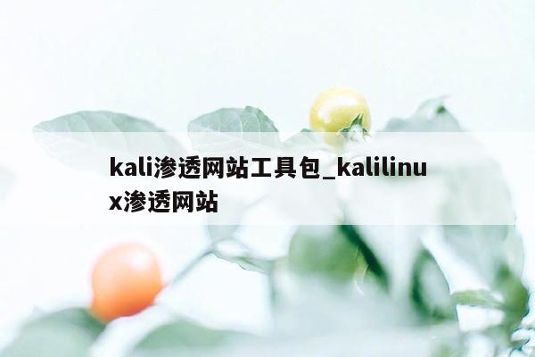 kali渗透网站工具包_kalilinux渗透网站