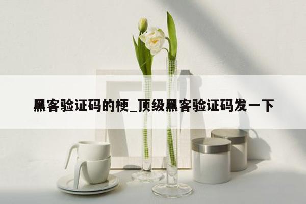 黑客验证码的梗_顶级黑客验证码发一下