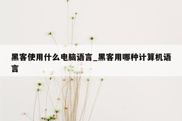 黑客使用什么电脑语言_黑客用哪种计算机语言