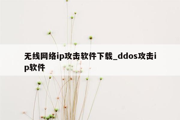 无线网络ip攻击软件下载_ddos攻击ip软件