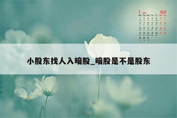 小股东找人入暗股_暗股是不是股东