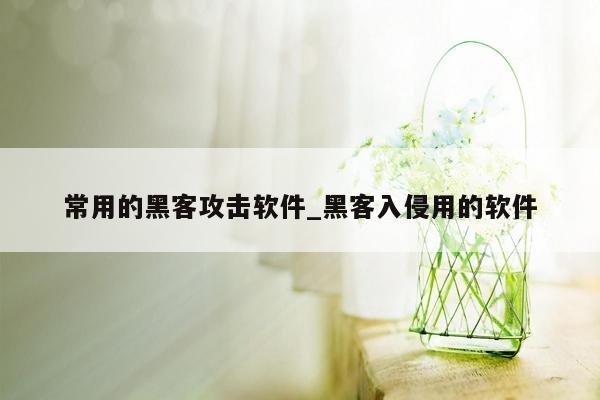 常用的黑客攻击软件_黑客入侵用的软件