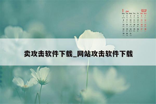 卖攻击软件下载_网站攻击软件下载