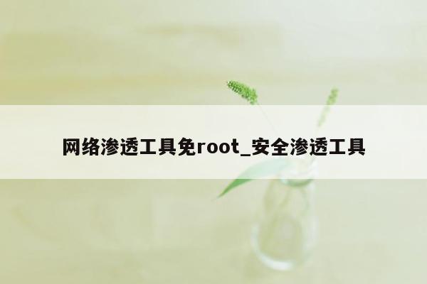 网络渗透工具免root_安全渗透工具