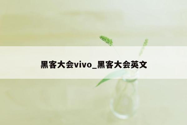 黑客大会vivo_黑客大会英文