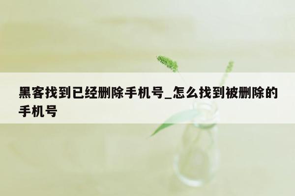 黑客找到已经删除手机号_怎么找到被删除的手机号