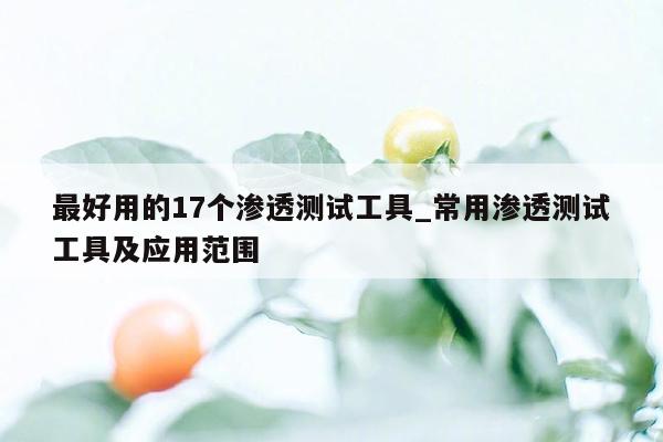 最好用的17个渗透测试工具_常用渗透测试工具及应用范围