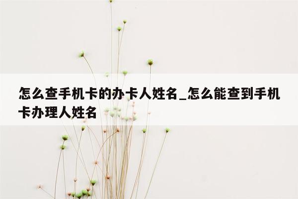 怎么查手机卡的办卡人姓名_怎么能查到手机卡办理人姓名