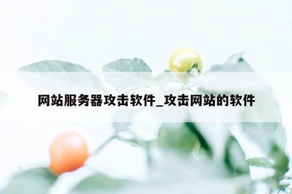 网站服务器攻击软件_攻击网站的软件