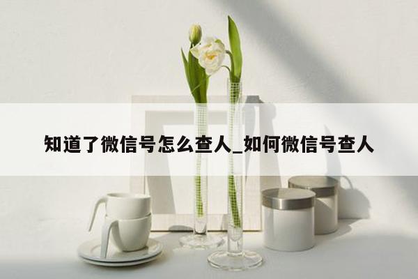 知道了微信号怎么查人_如何微信号查人