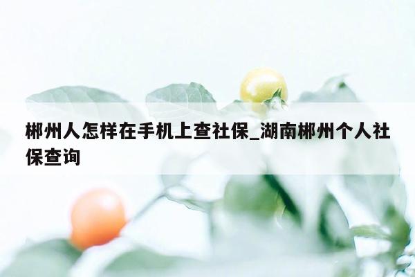 郴州人怎样在手机上查社保_湖南郴州个人社保查询