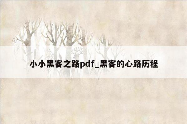 小小黑客之路pdf_黑客的心路历程