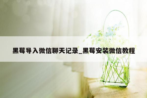 黑莓导入微信聊天记录_黑莓安装微信教程