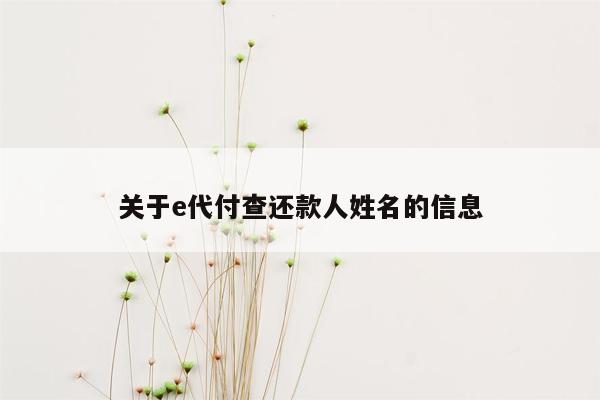 关于e代付查还款人姓名的信息