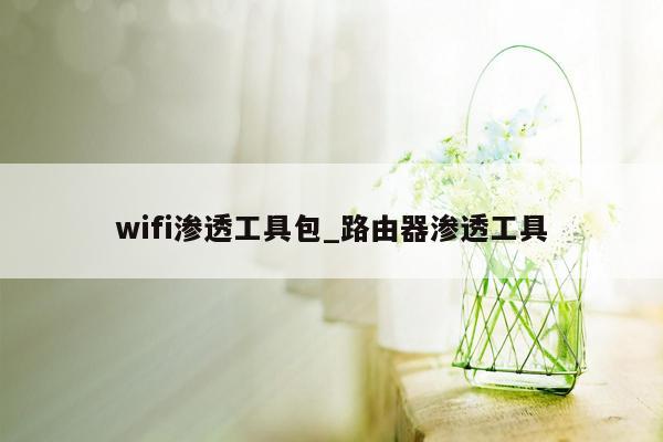 wifi渗透工具包_路由器渗透工具