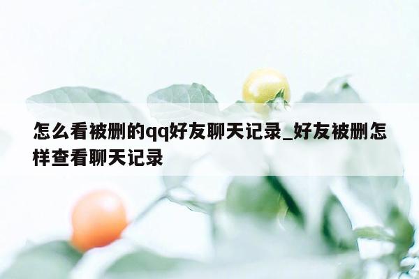 怎么看被删的qq好友聊天记录_好友被删怎样查看聊天记录