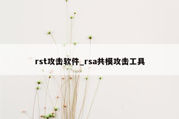 rst攻击软件_rsa共模攻击工具