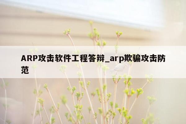 ARP攻击软件工程答辩_arp欺骗攻击防范