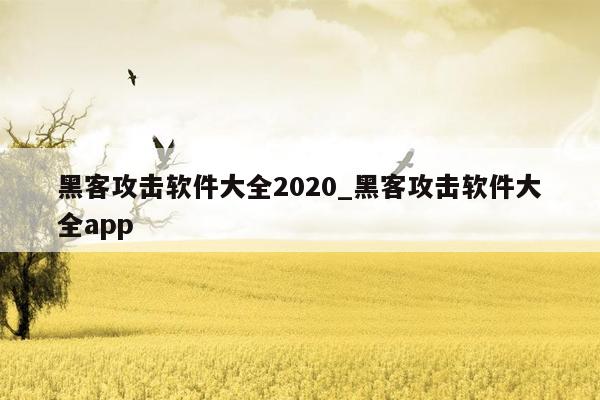 黑客攻击软件大全2020_黑客攻击软件大全app