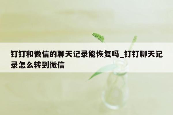 钉钉和微信的聊天记录能恢复吗_钉钉聊天记录怎么转到微信