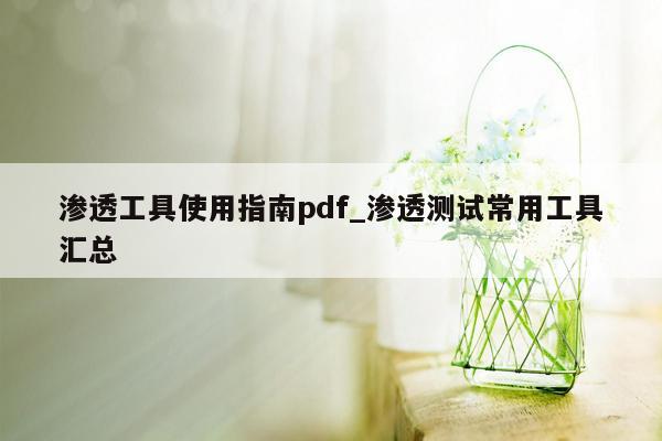 渗透工具使用指南pdf_渗透测试常用工具汇总