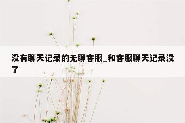 没有聊天记录的无聊客服_和客服聊天记录没了