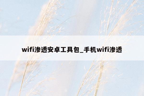 wifi渗透安卓工具包_手机wifi渗透