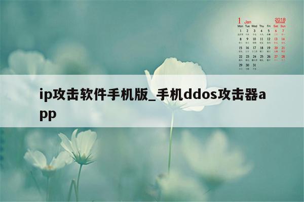 ip攻击软件手机版_手机ddos攻击器app