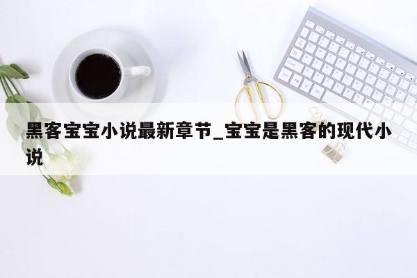 黑客宝宝小说最新章节_宝宝是黑客的现代小说