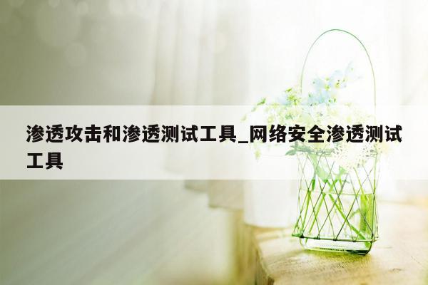 渗透攻击和渗透测试工具_网络安全渗透测试工具